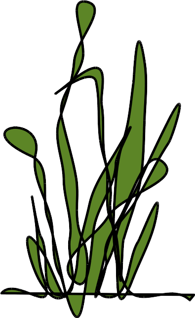 Logo Austmann Gärten